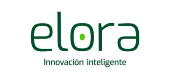 Implementación de Elora PLM: Gestión digital del producto